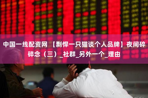 中国一线配资网 【剽悍一只猫谈个人品牌】夜间碎碎念（三）_社群_另外一个_理由