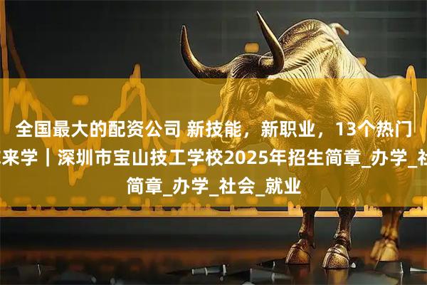 全国最大的配资公司 新技能，新职业，13个热门专业等你来学｜深圳市宝山技工学校2025年招生简章_办学_社会_就业